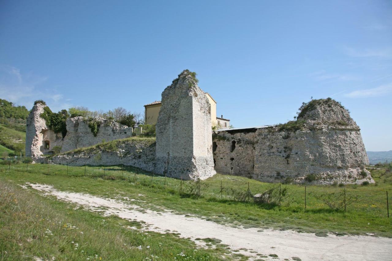 Il Cavallino Fossombrone Zewnętrze zdjęcie